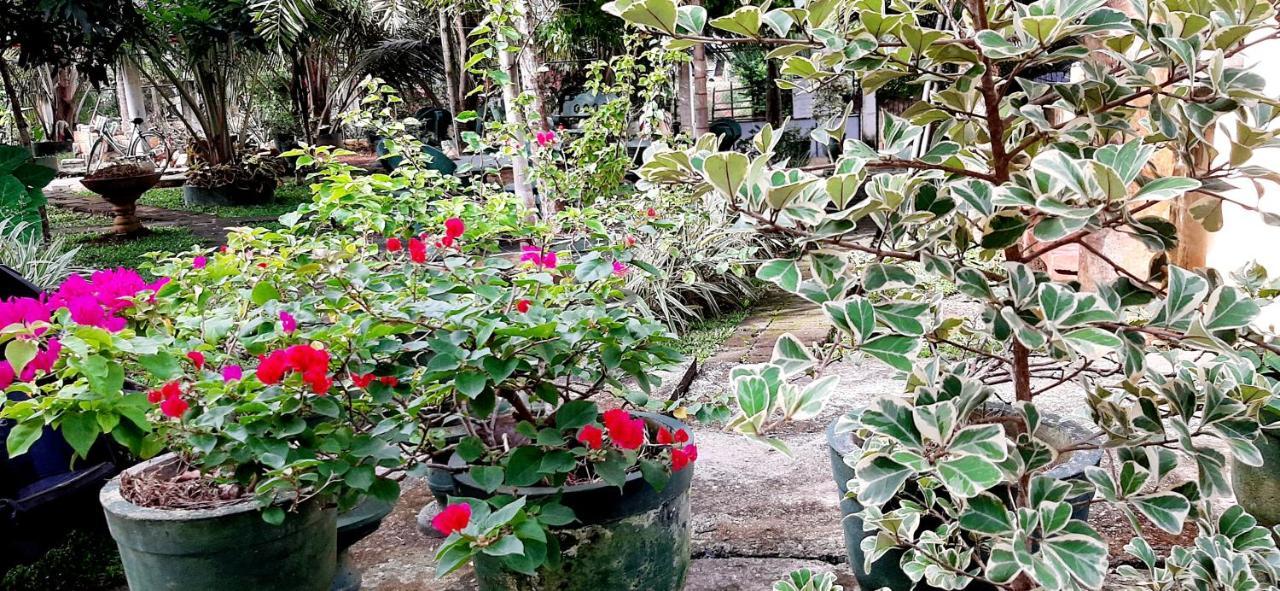 Hiriketiya Cinnamon Garden ديكويلاّ تين المظهر الخارجي الصورة