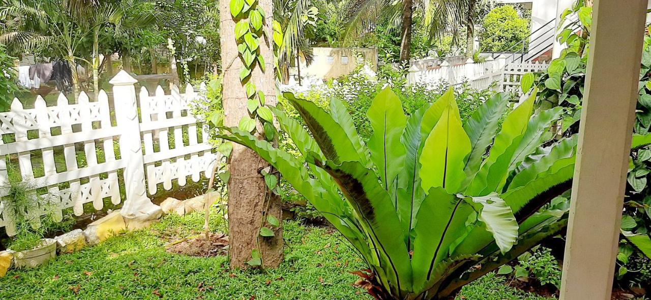 Hiriketiya Cinnamon Garden ديكويلاّ تين المظهر الخارجي الصورة