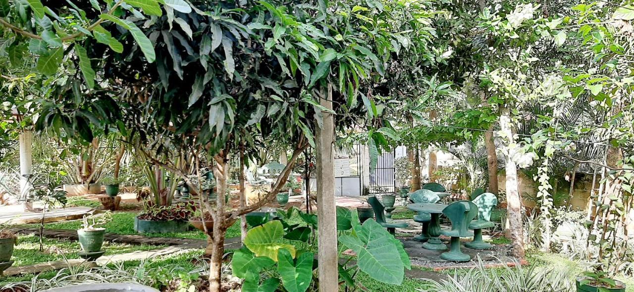 Hiriketiya Cinnamon Garden ديكويلاّ تين المظهر الخارجي الصورة