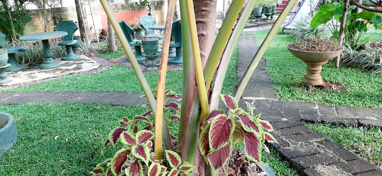 Hiriketiya Cinnamon Garden ديكويلاّ تين المظهر الخارجي الصورة
