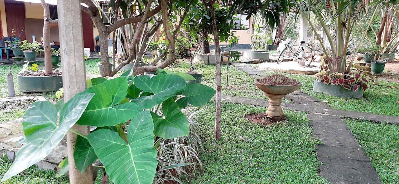 Hiriketiya Cinnamon Garden ديكويلاّ تين المظهر الخارجي الصورة