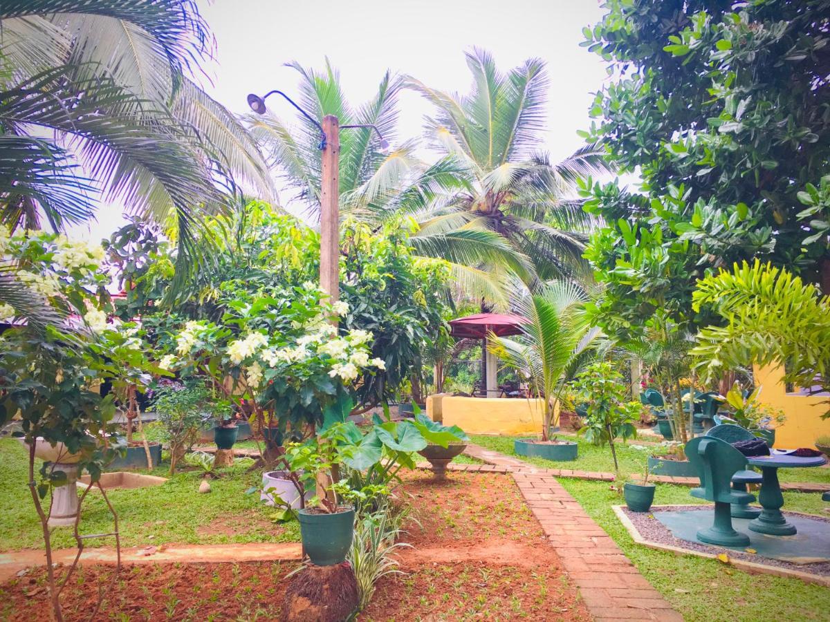 Hiriketiya Cinnamon Garden ديكويلاّ تين المظهر الخارجي الصورة