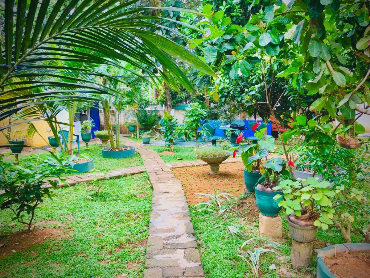 Hiriketiya Cinnamon Garden ديكويلاّ تين المظهر الخارجي الصورة