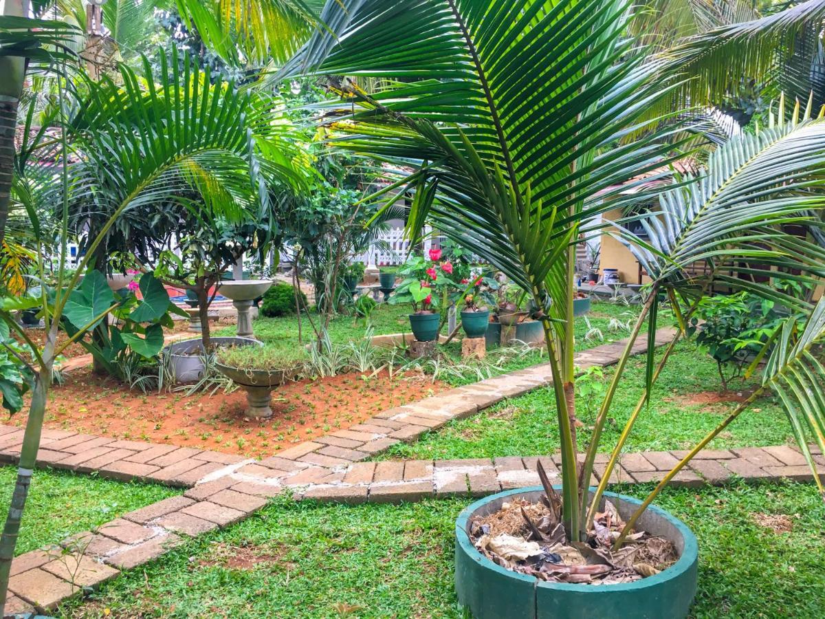 Hiriketiya Cinnamon Garden ديكويلاّ تين المظهر الخارجي الصورة